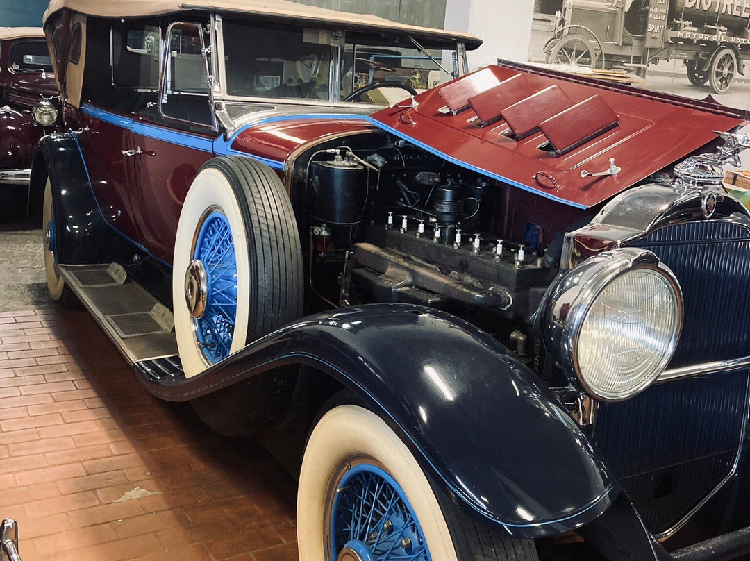 Packard Motor Museum-Maungatapere必去景点