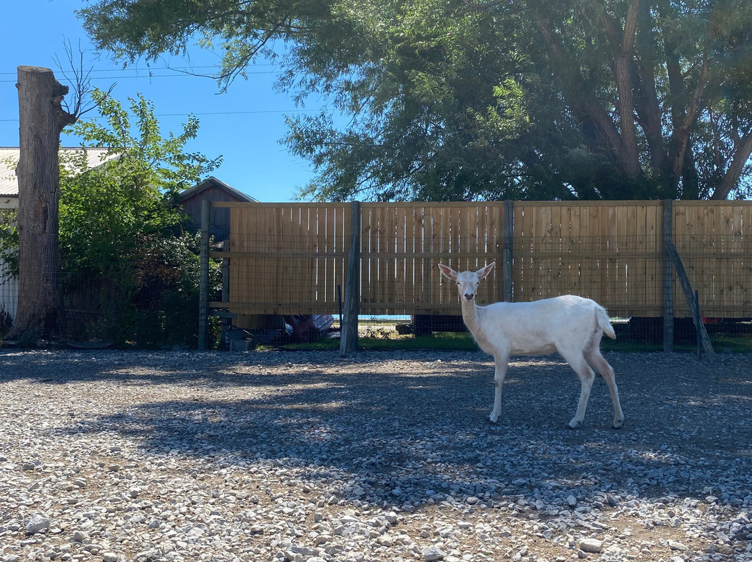 Lagoon Deer Park-桑达斯基必去景点