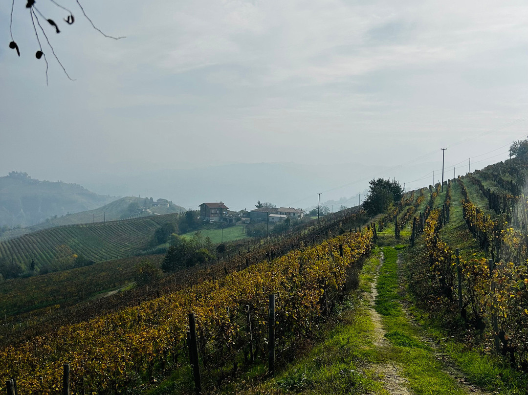 Teresa Soria Azienda Agricola