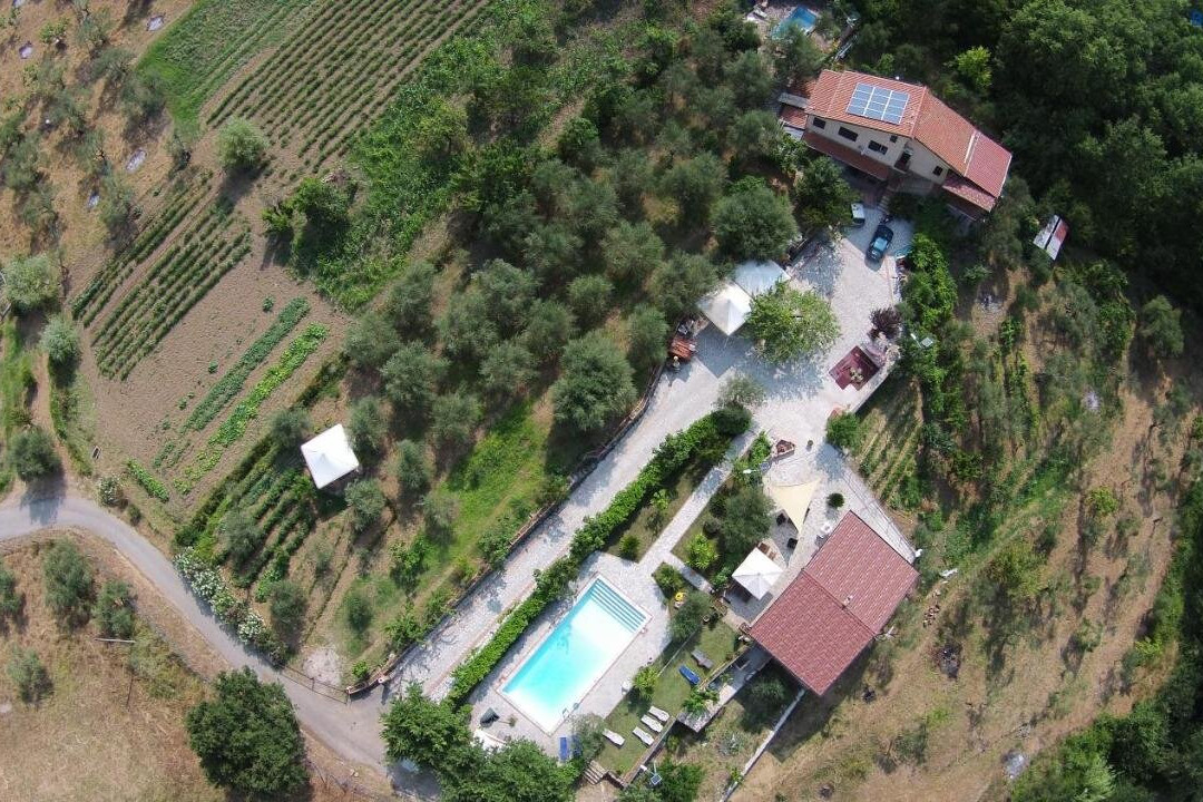 Tenuta Martino