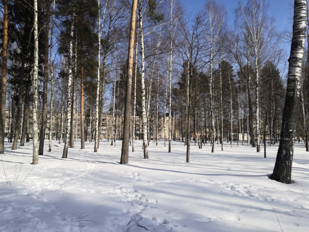 Gorodskoy Park景点图片