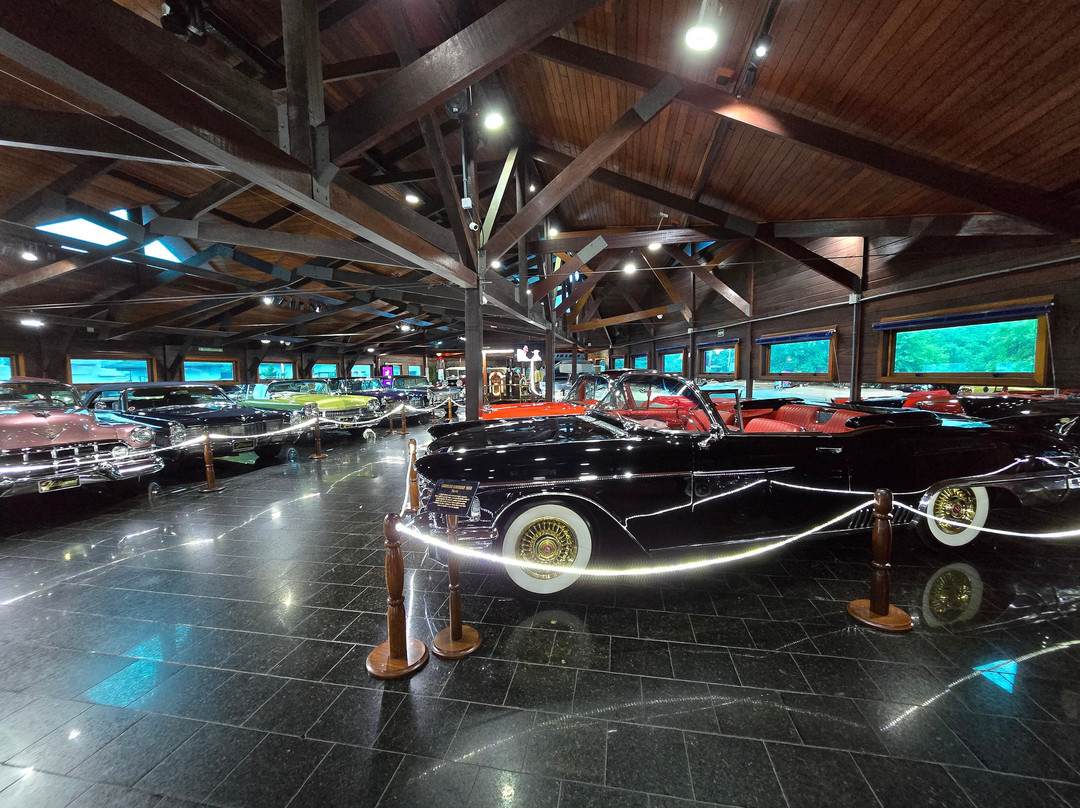 Hollywood Dream Cars-格拉玛多必去景点