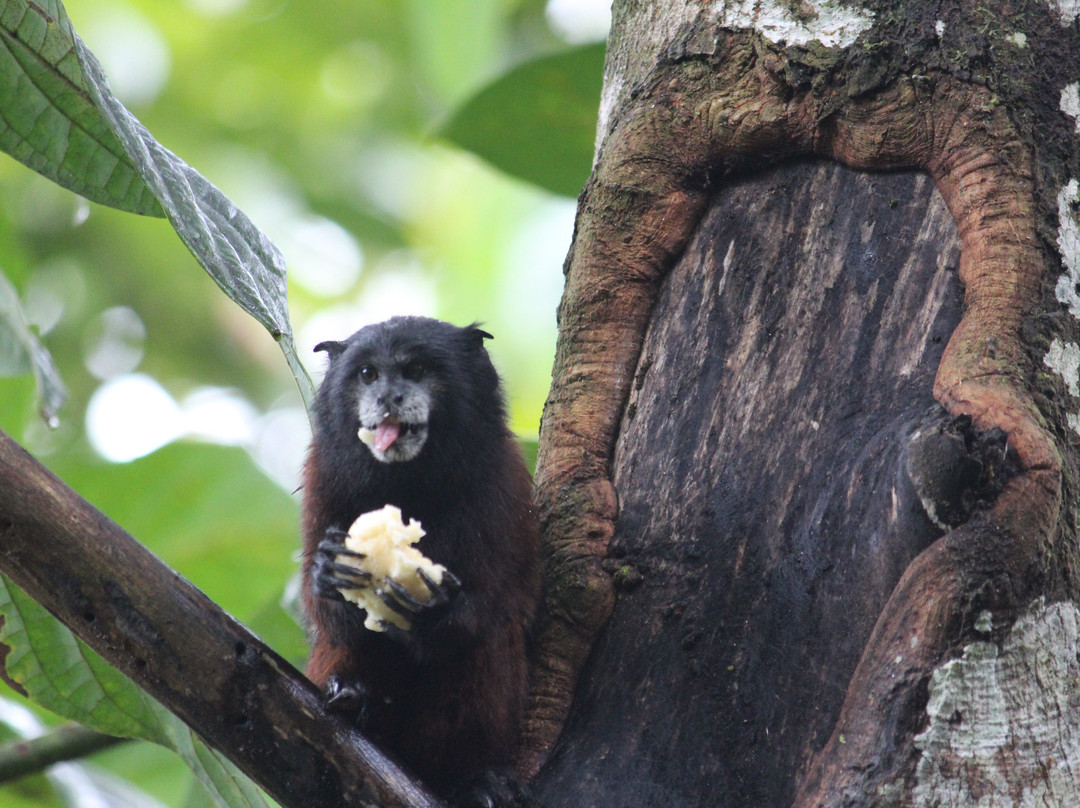 Oro y Luna Lodge主图