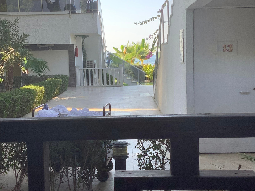 富丽园海滩俱乐部度假酒店 - 情侣概念（+16）主图