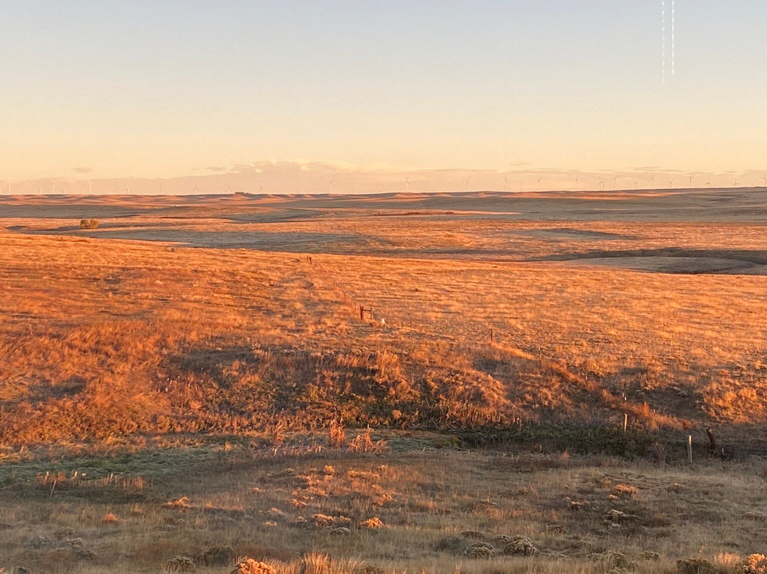 La Quinta Inn & Suites by Wyndham Limon主图