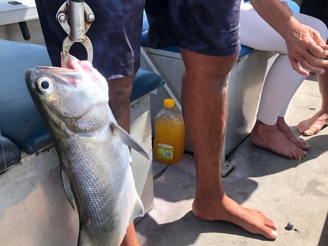 Paradise Sport Fishing Adventures景点图片