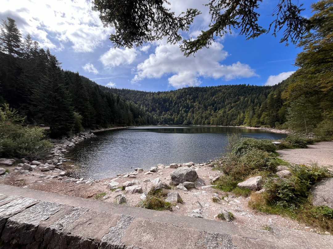 Le Lac des Corbeaux-La Bresse必去景点