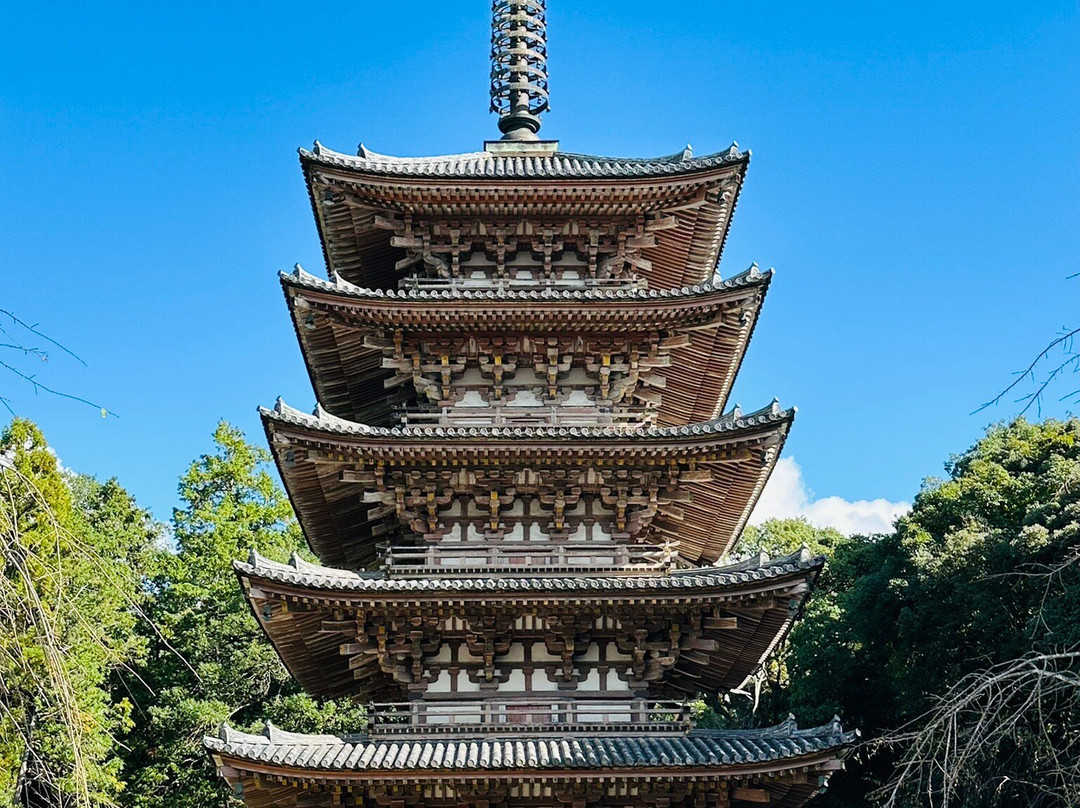 Daigoji Temple-福知山市必去景点