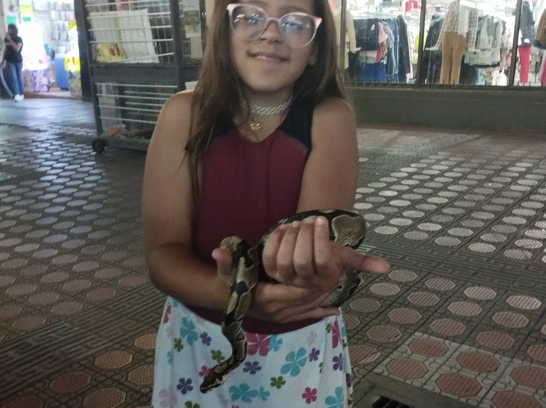 Plaza de Armas-坦皮科必去景点