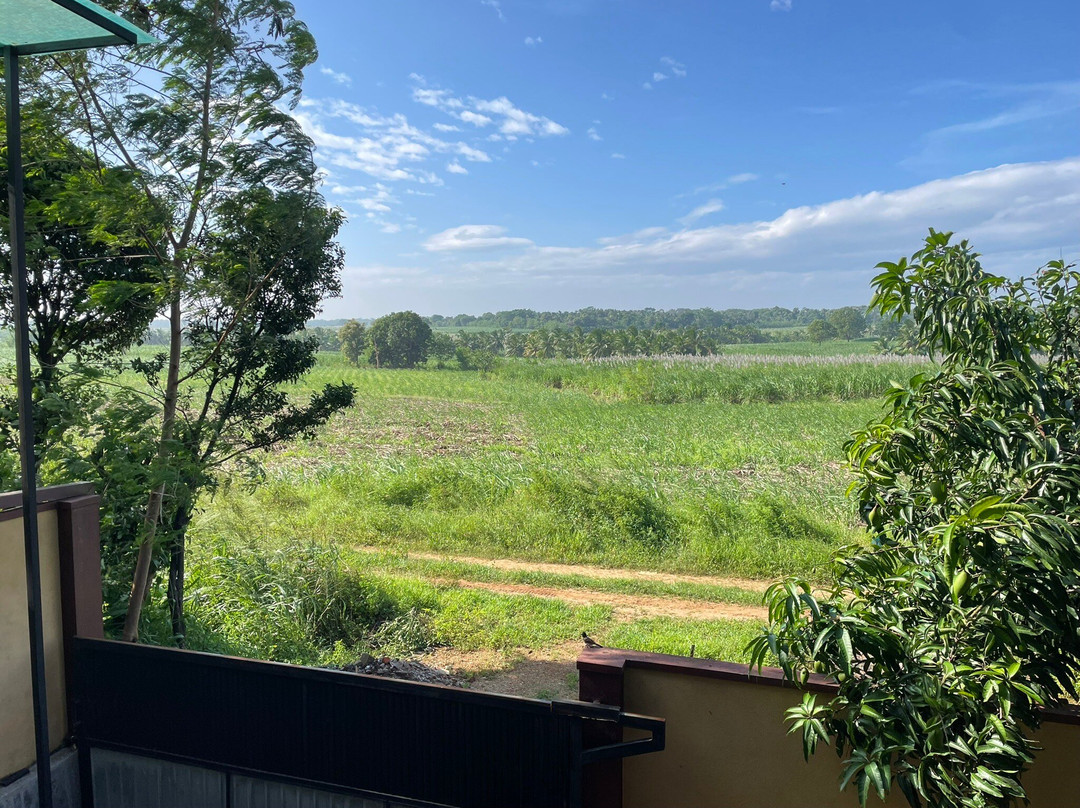 Ali Weta Safari Resort主图