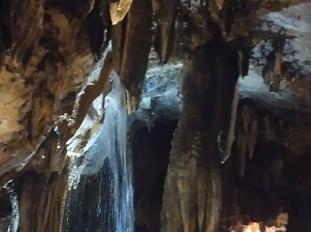 Days Inn by Wyndham Childersburg/Sylacauga主图