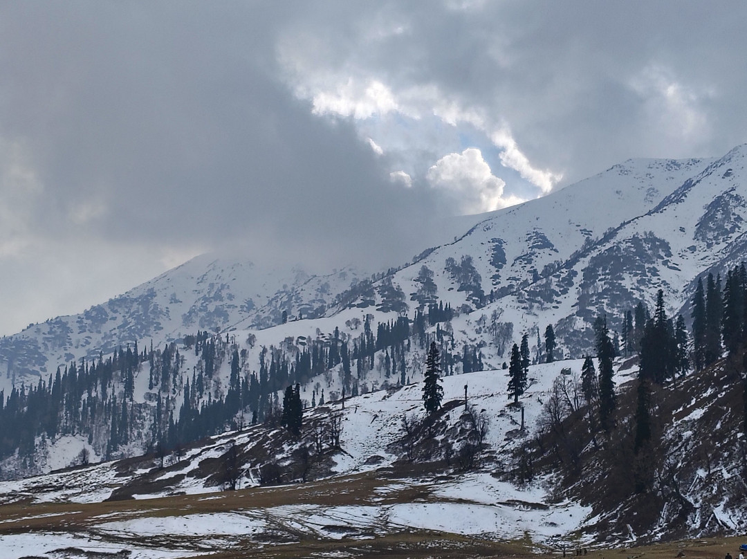 Kashfly - Kashmir Tour and Travel-斯利那加必去景点