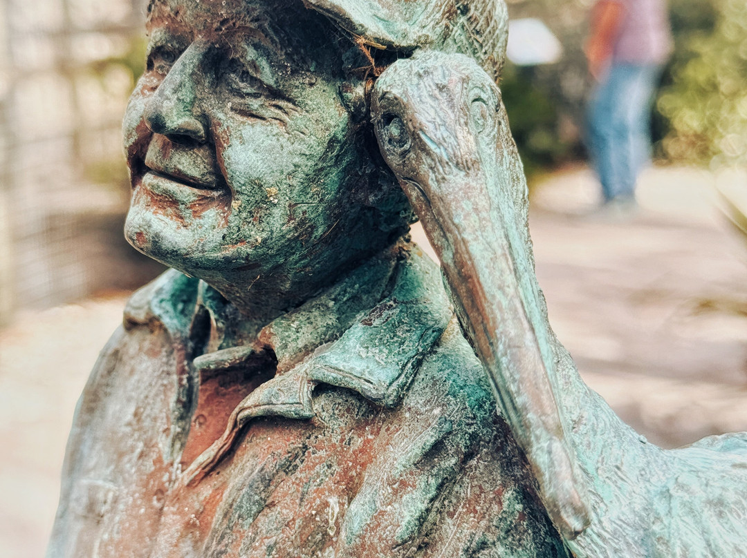 Save Our Seabirds-萨拉索塔必去景点