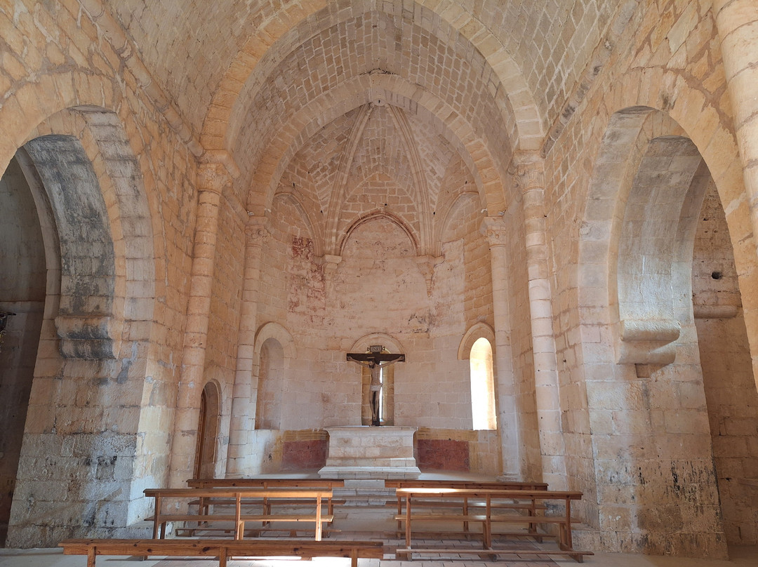 El Nido de Pinares主图