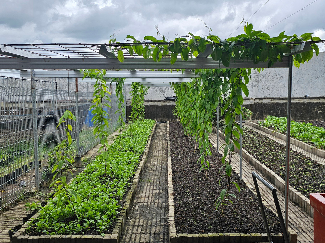 Yun Fook Trading (kolam Ikan)-根地咬必去景点