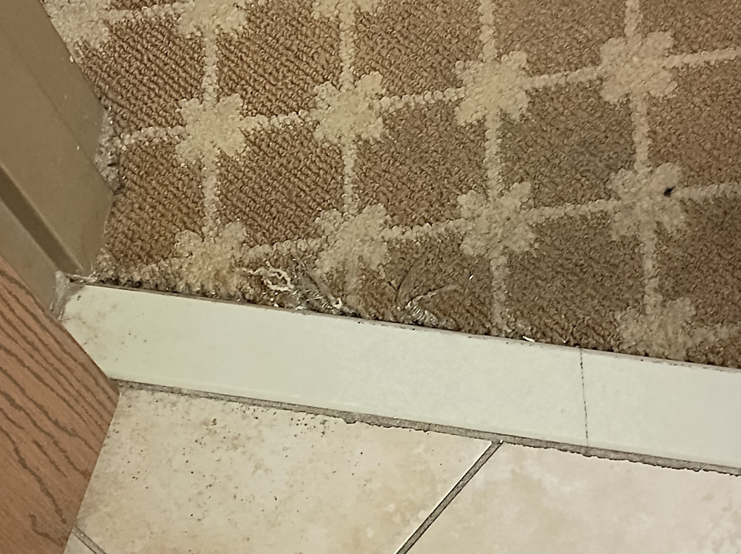 Quality Inn & Suites主图