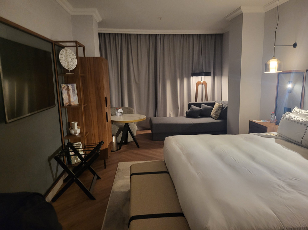 瓦伦西亚美利亚酒店主图