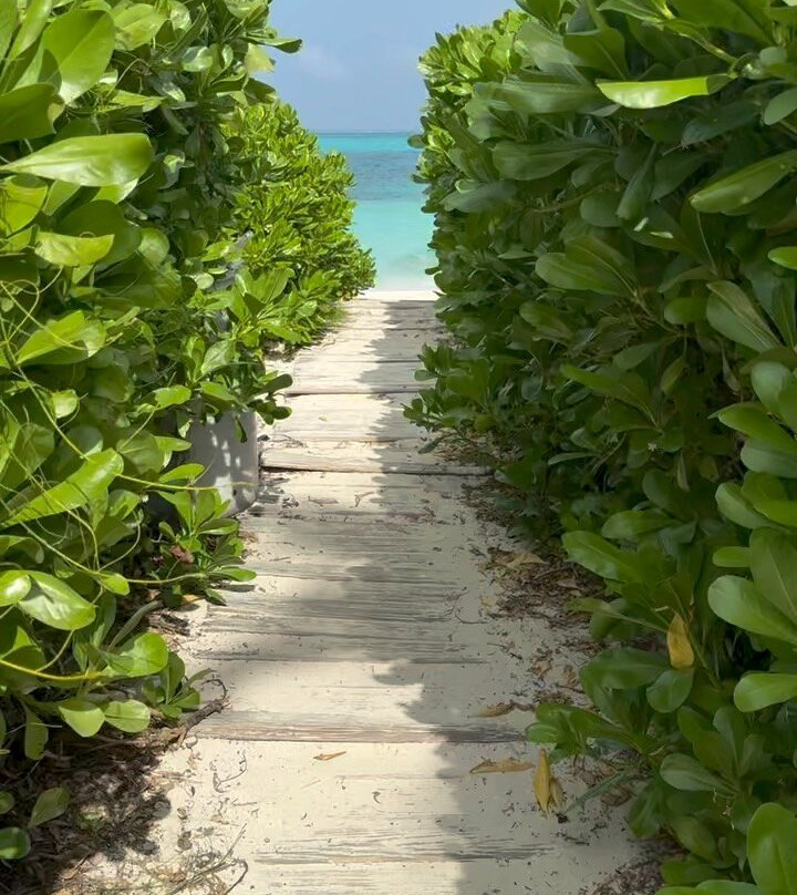 Bight Reef (Coral Gardens)-普罗维登西亚莱斯必去景点