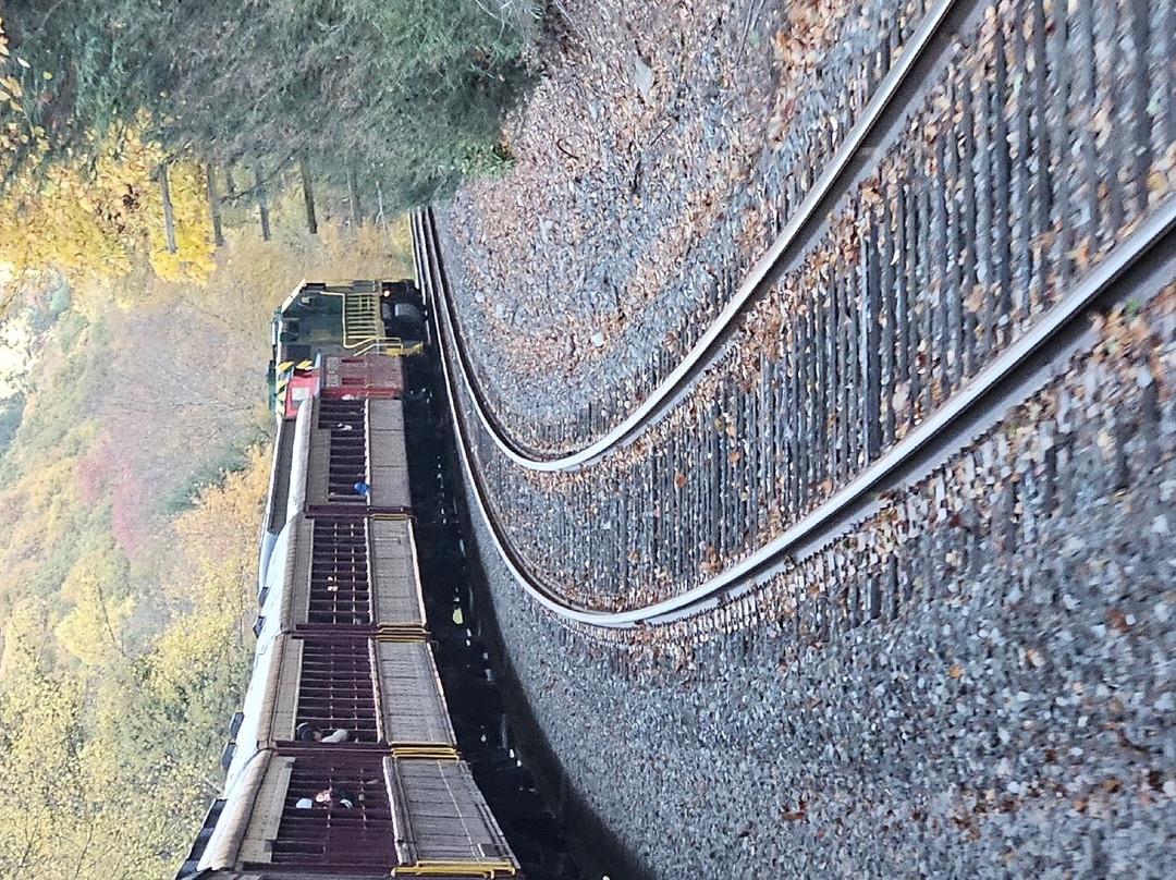 Lehigh Gorge Scenic Railway景点图片