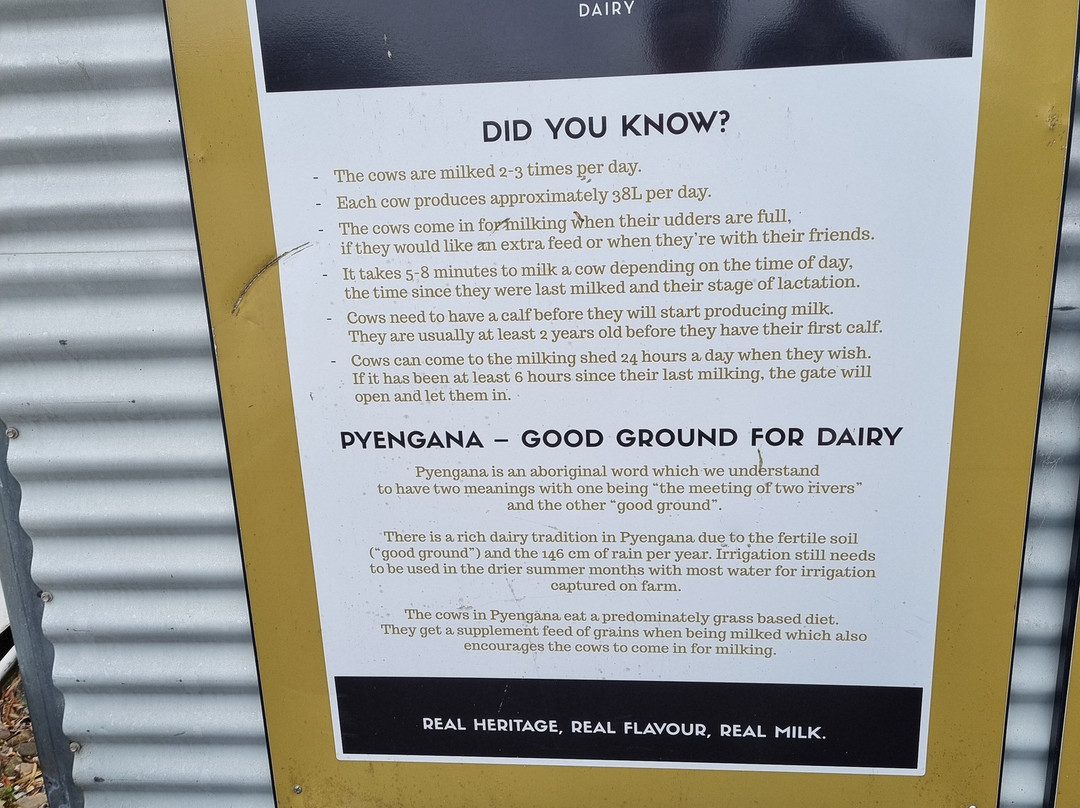Pyengana Dairy景点图片