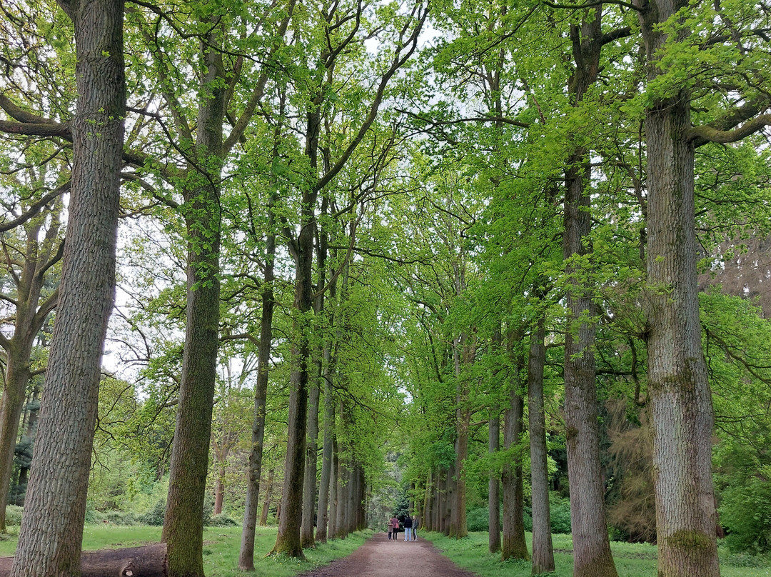 Arboretum Tervuren-Tervuren必去景点