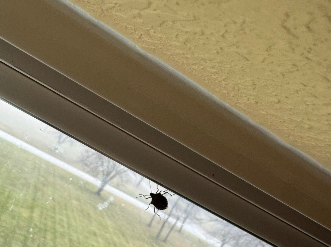 Fairfield by Marriott Inn & Suites Valparaiso主图