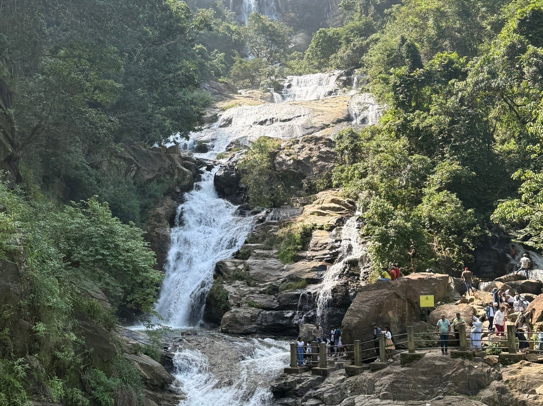 Leo Nature Tours景点图片