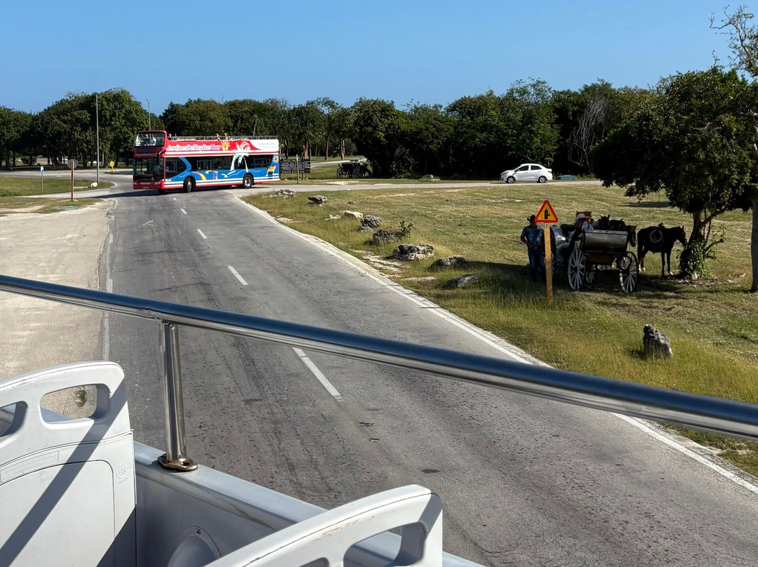 Jardines Del Rey Bus Tour景点图片