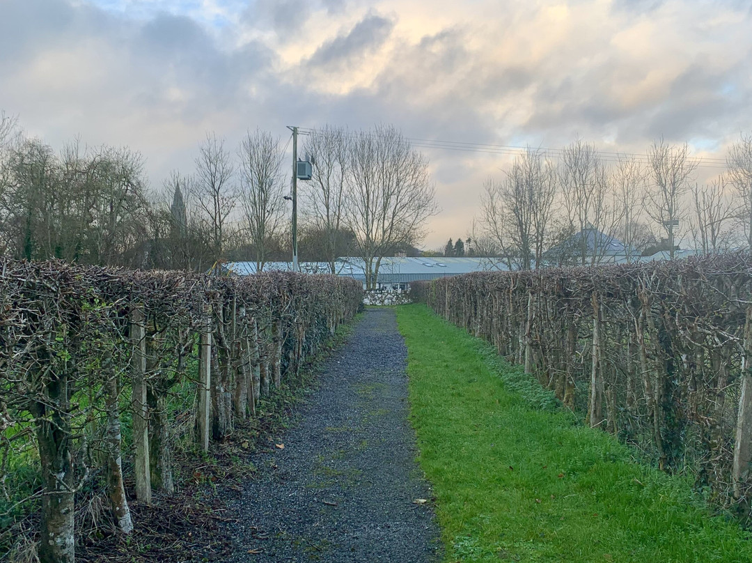 Roscommon Friary-County Roscommon必去景点