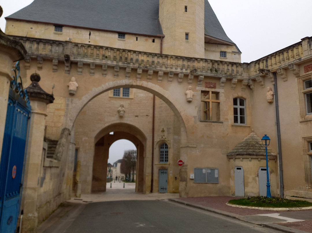 Chateau de Jonzac景点图片