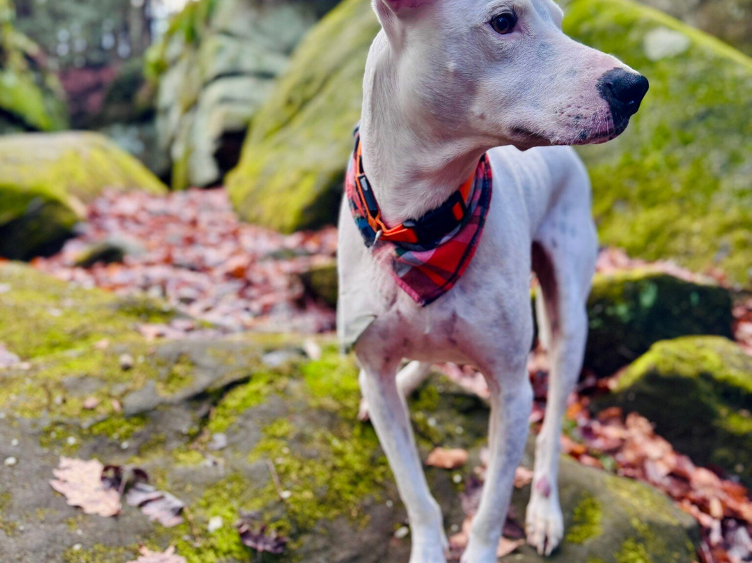 Ledges Overlook-Peninsula必去景点