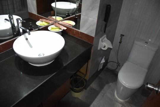 柯壤隋河大酒店-浴室