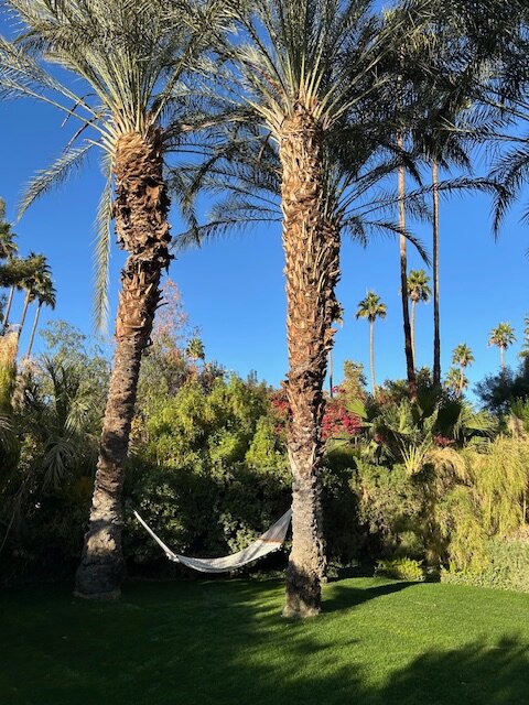 棕榈泉帕克酒店-浴室