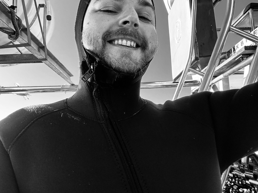 White Shark Diving Company-干斯拜必去景点