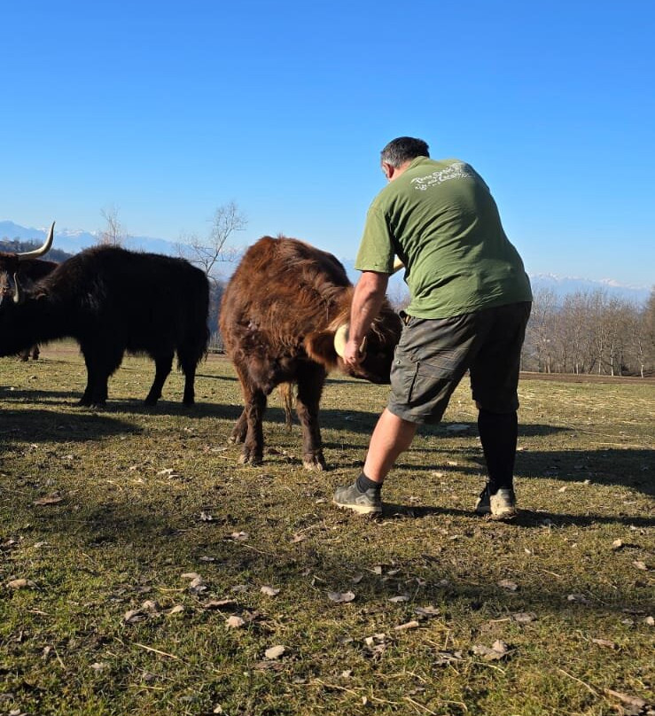 Parco Safari delle Langhe-Murazzano必去景点