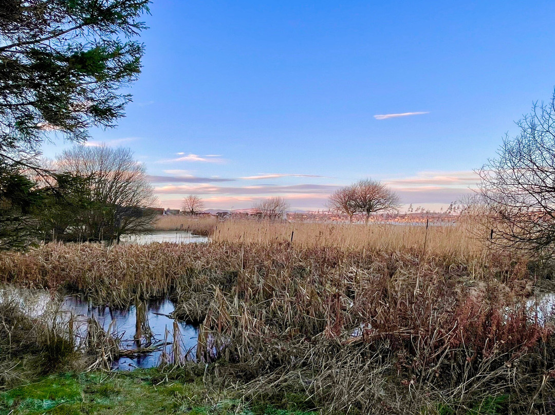 Tayport Common-Tayport必去景点
