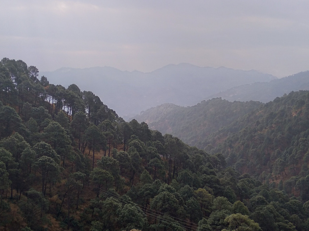 Forest Ville Hotel & Resort主图