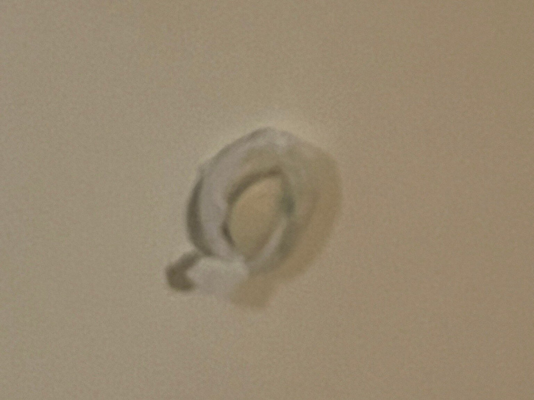 马西尼酒店主图