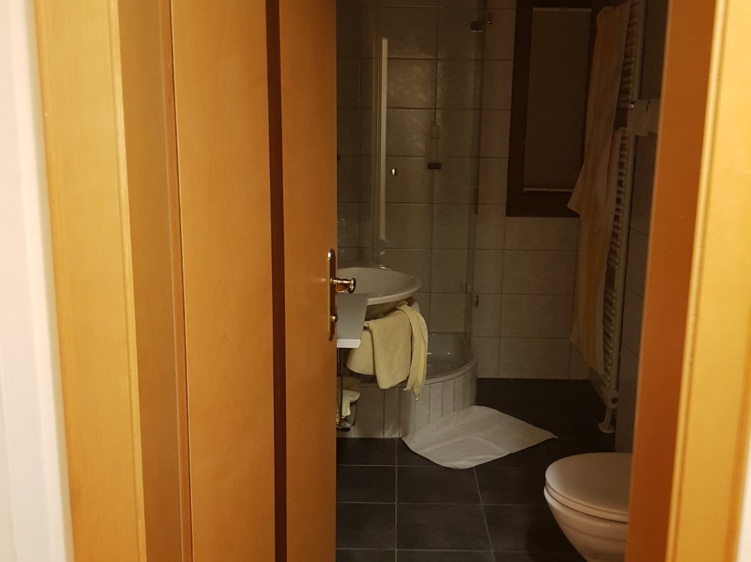 Hotel Königgut主图