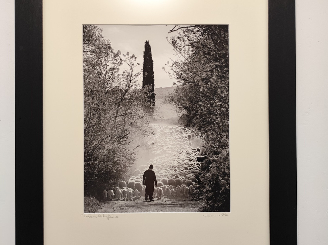 La Bottega del Sale di Duccio Nacci photographer-圣吉米尼亚诺必去景点
