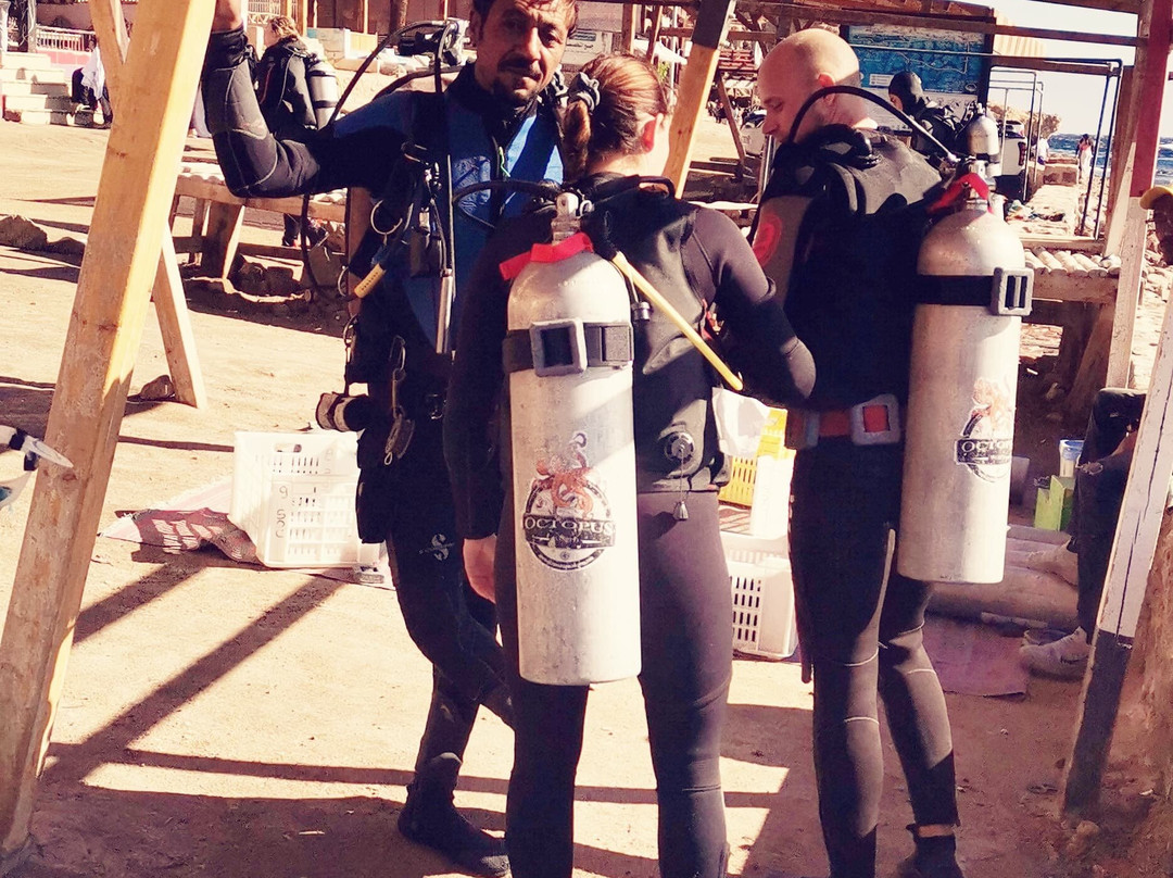 Octopus World Dahab-达哈卜必去景点