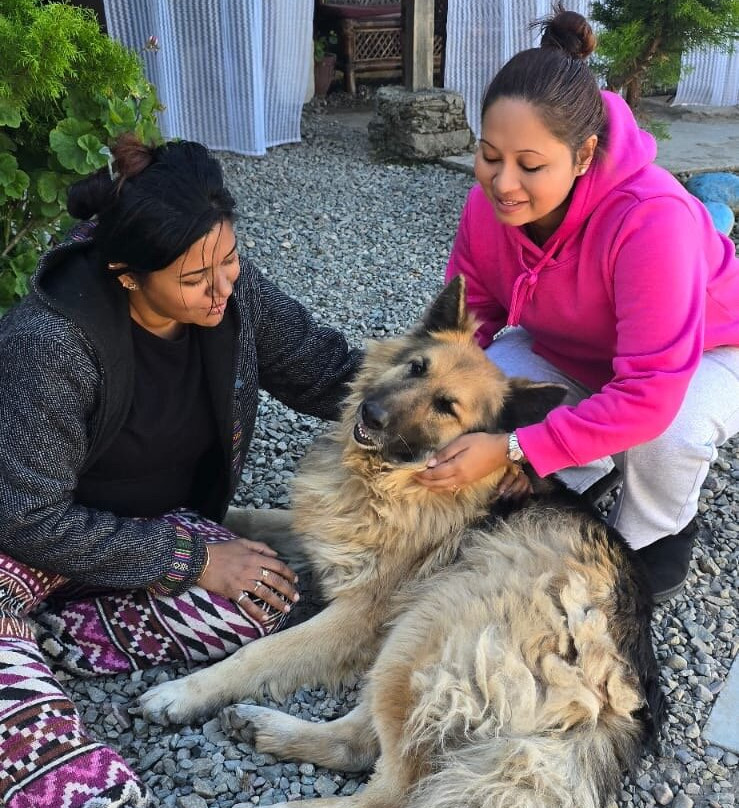 Shivaya Since 1953主图