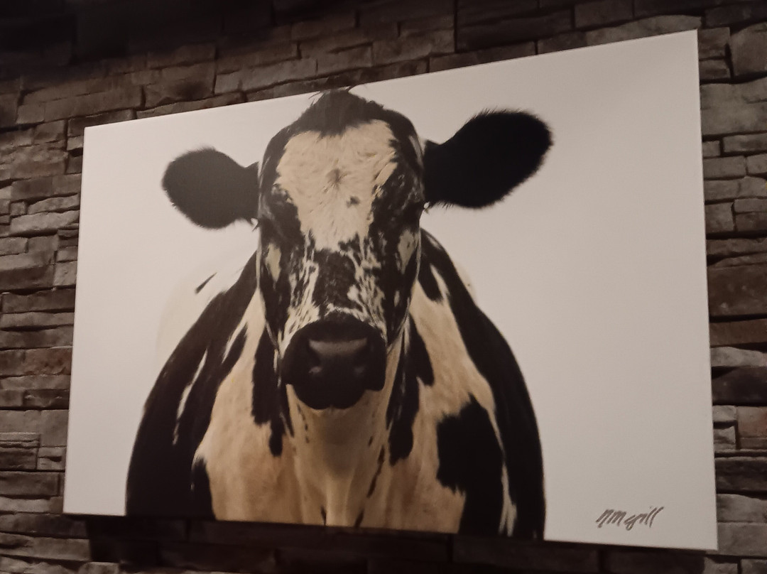 Cobblestone Hotel & Suites - Appleton International Airport主图