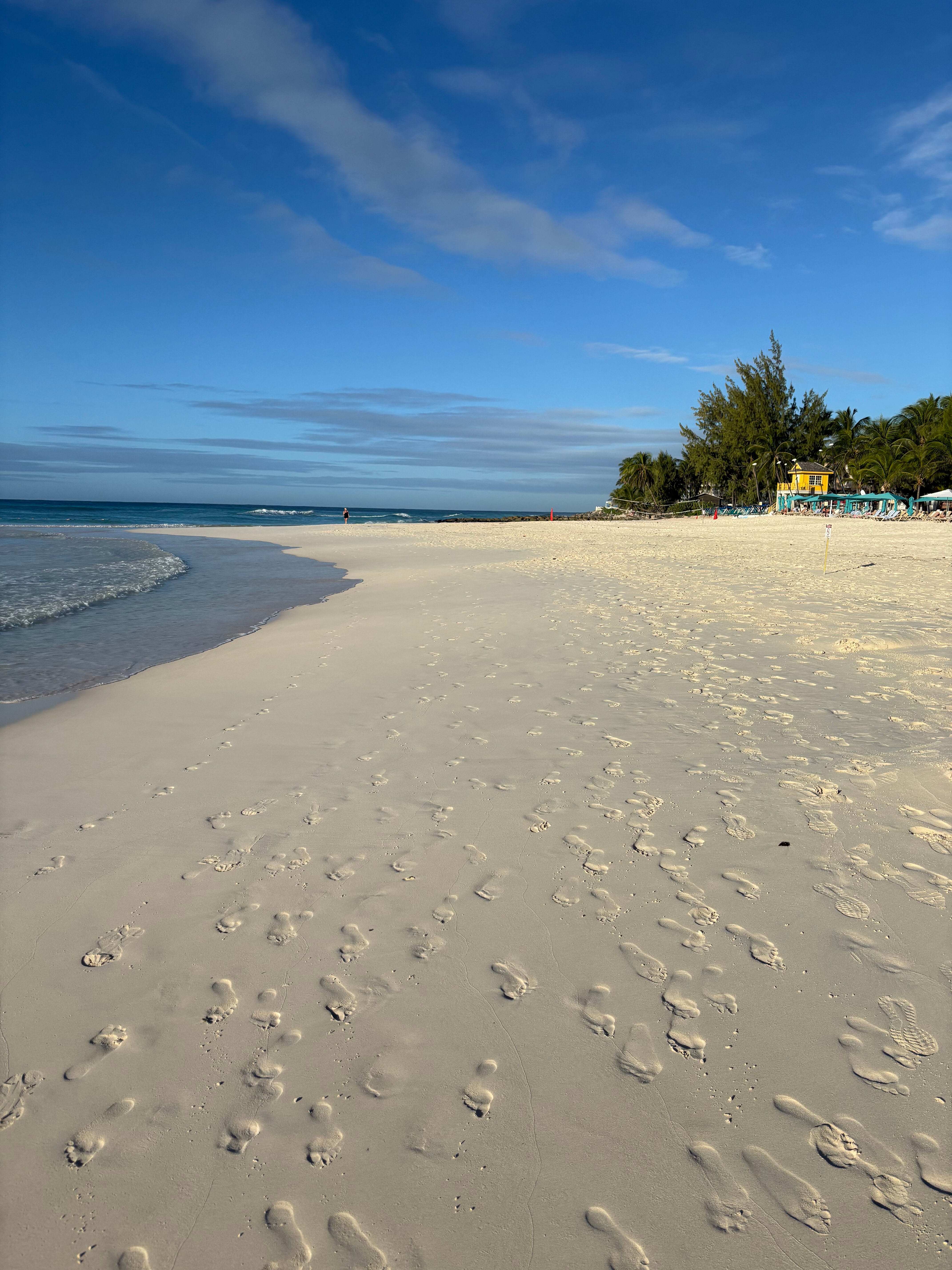 Sandals Barbados-泳池