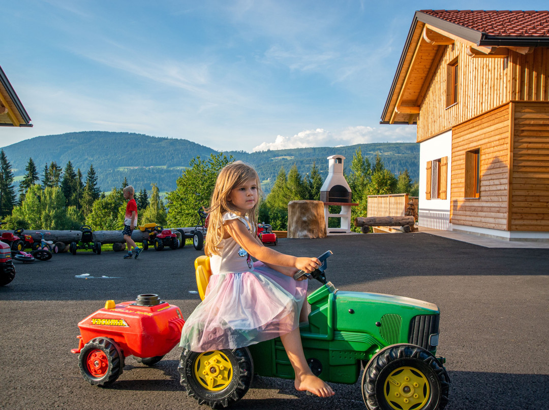 Chalets Und Apartments Hauserhof主图