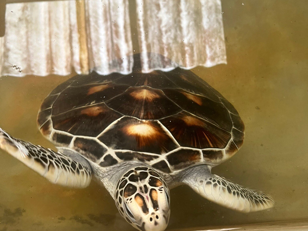 Manju Lanka Tours-Thalawathugoda必去景点