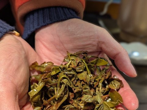 Lin Teas-里昂必去景点