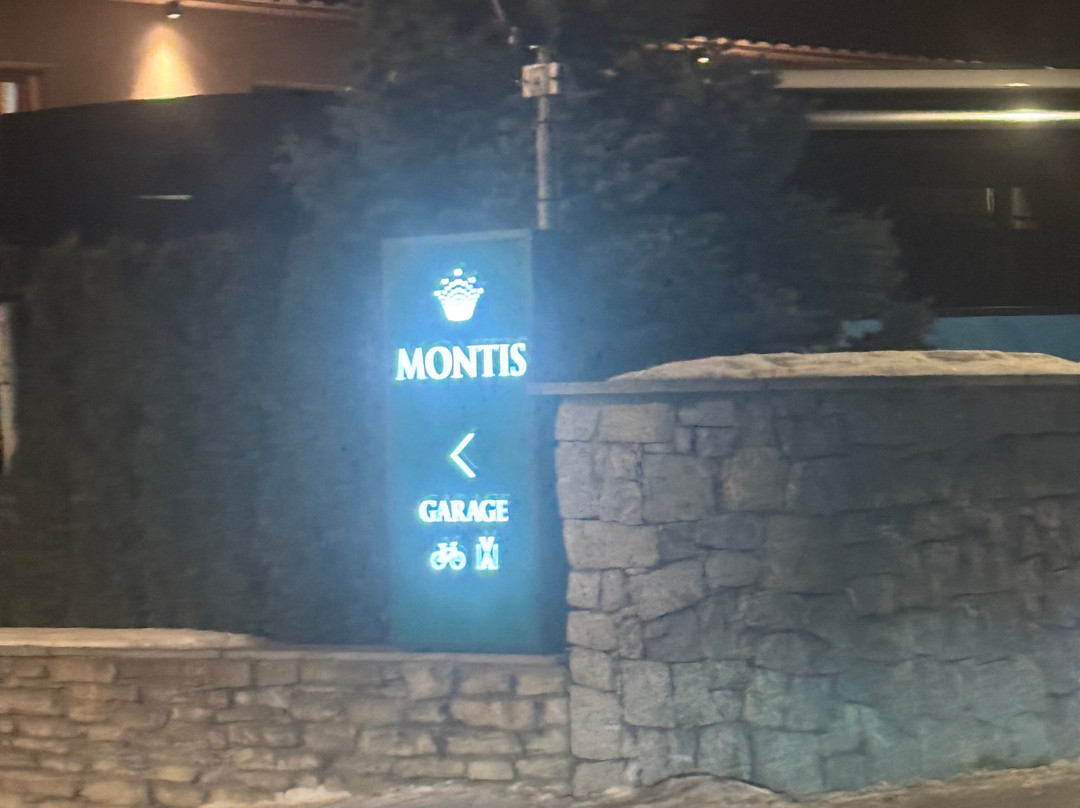 Hotel Montis主图