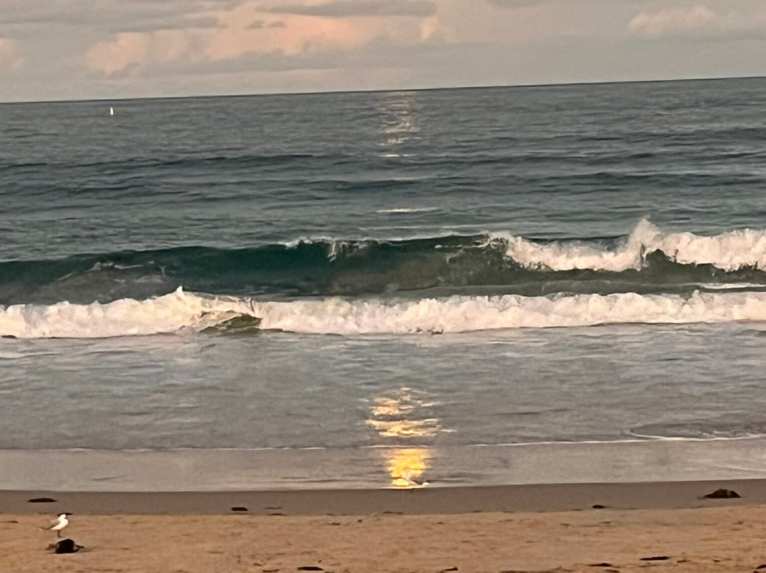 Allure on Ocean Motel主图