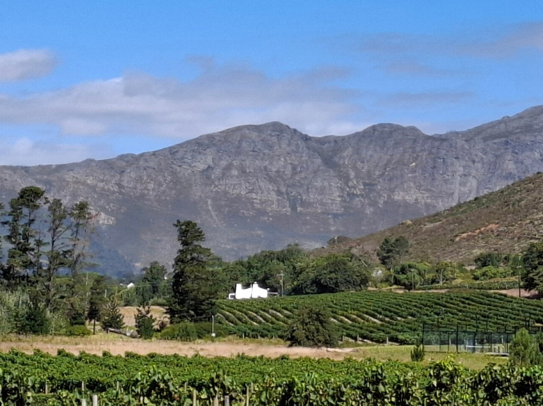 Rickety Bridge Wine Estate-法兰舒克必去景点